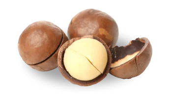 Macadamias