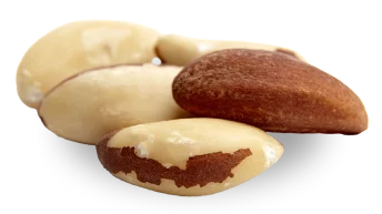 Nueces de brazil